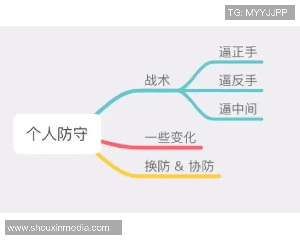 南京飞盘队的进攻体系解析与战术创新探索