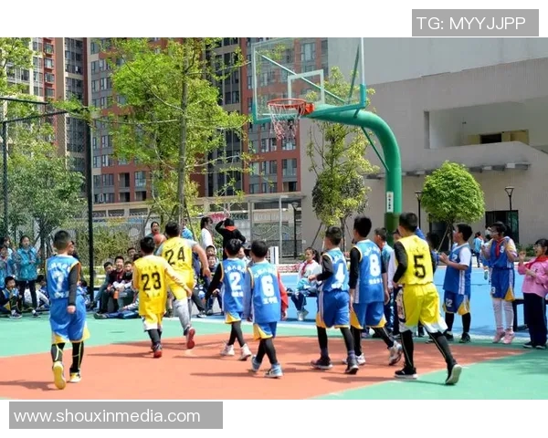 成都篮球队灵活性变革引发热议展望未来发展新机遇