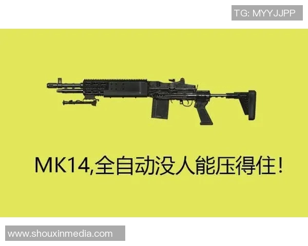 和平精英战术分析：深入探讨BLG在阵地战中的制胜策略与表现